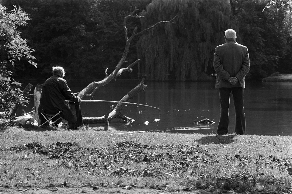 Herfst, parken, mannen, vissen, Bestanddeelnr 930-4551