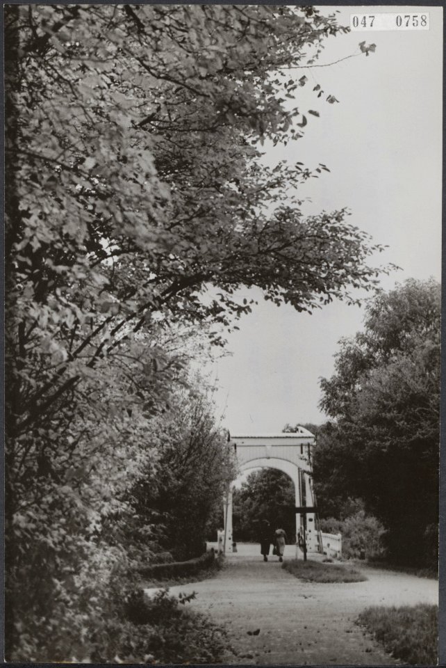 Herfst, bossen, Amsterdamse Bos, Bestanddeelnr 047-0758