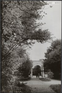 Herfst, bossen, Amsterdamse Bos, Bestanddeelnr 047-0758