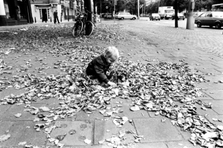 Herfstplaatje in Amsterdam, Bestanddeelnr 929-9118