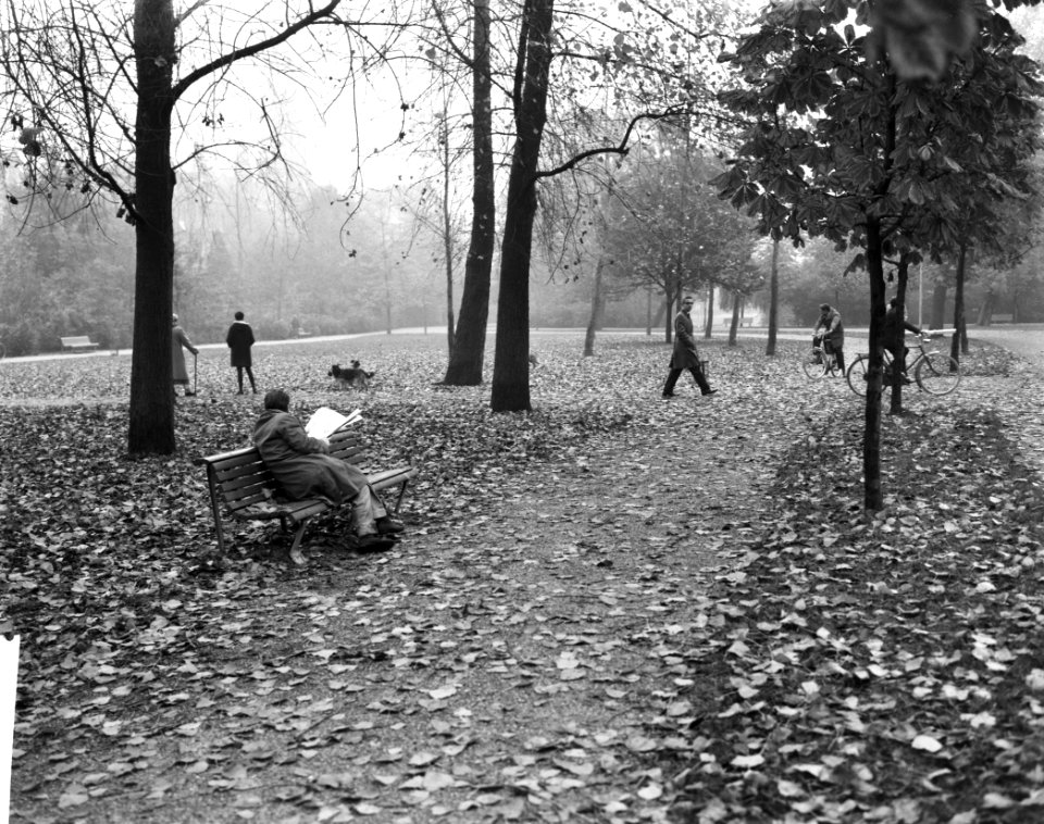 Herfststemming in Amsterdam, Bestanddeelnr 913-1150