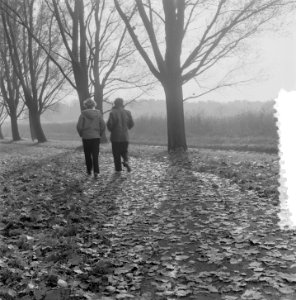 Herfstplaatjes Amsterdam. Amsterdamse Bos. Wandelaars, Bestanddeelnr 907-4176