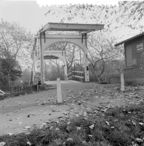 Herfstplaatjes Amsterdam. Amsterdamse Bos. Bosbaan Brug, Bestanddeelnr 907-4175