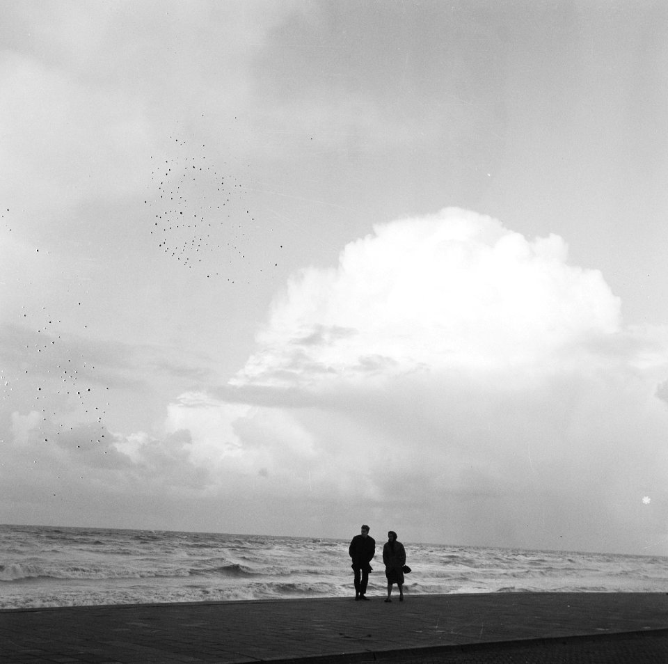 Herfst in ons land, najaarsstorm bij pier te IJmuiden, Bestanddeelnr 917-0560