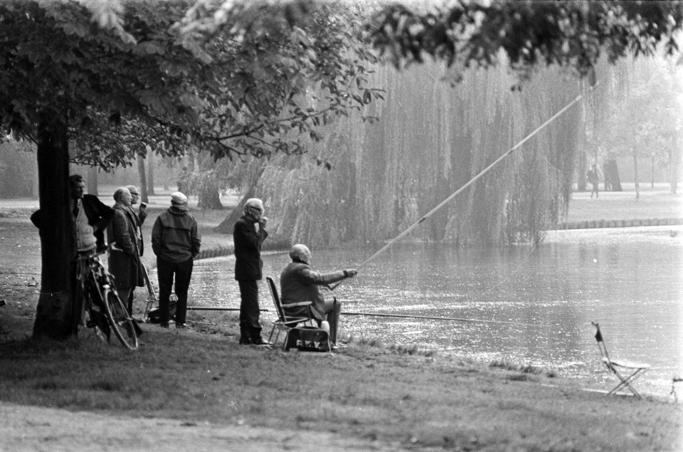 Herfst in Vondelpark vissende bejaarden, Bestanddeelnr 928-8273