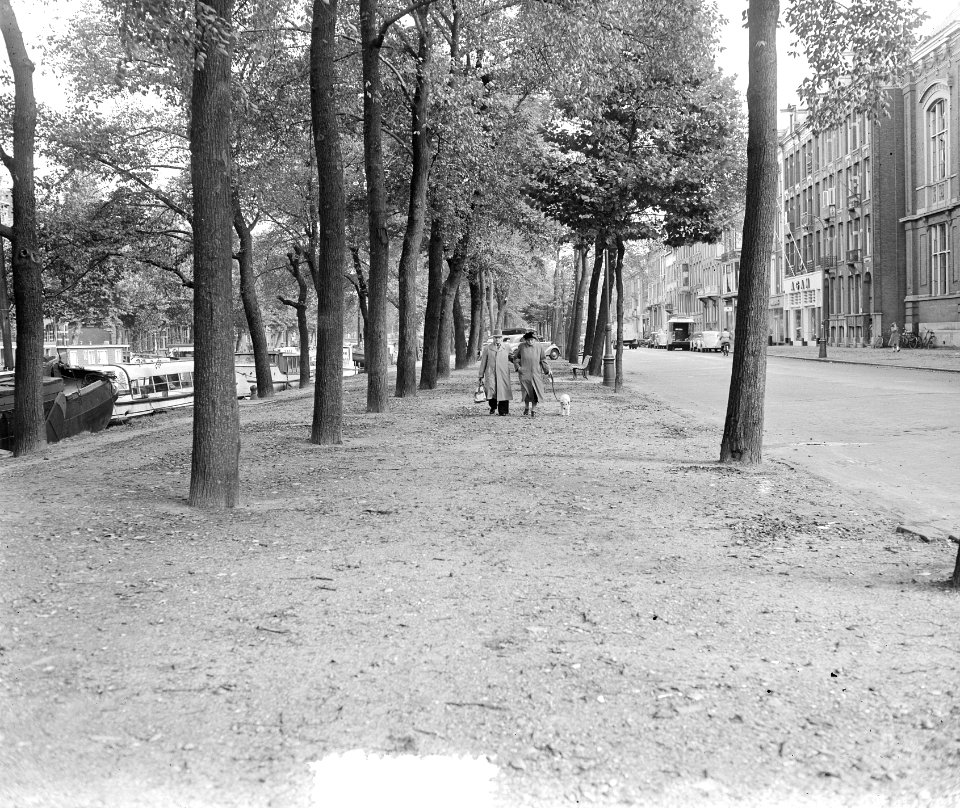 Herfst langs Stadhouderskade, Bestanddeelnr 905-9874
