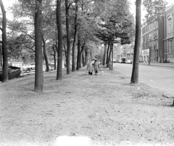 Herfst langs Stadhouderskade, Bestanddeelnr 905-9874