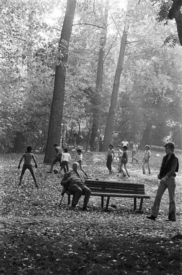 Herfst in Vondelpark, Bestanddeelnr 929-9424