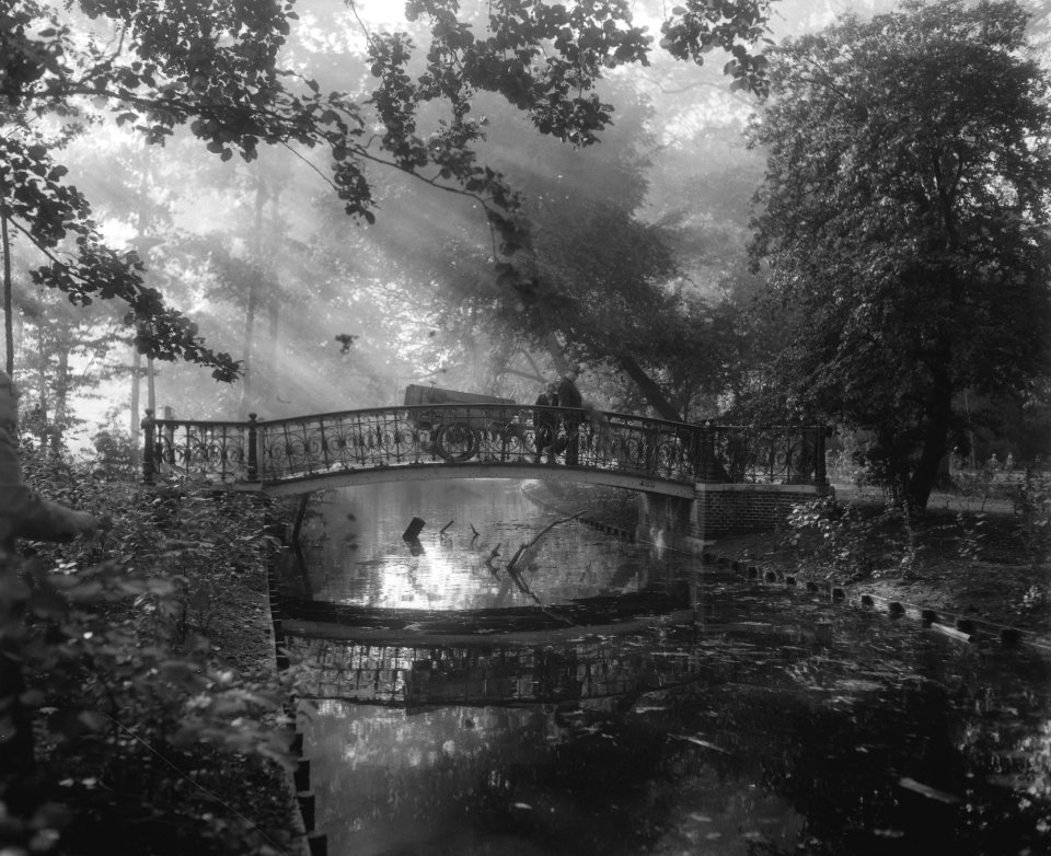 Herfst in het Vondelpark, Bestanddeelnr 909-8904