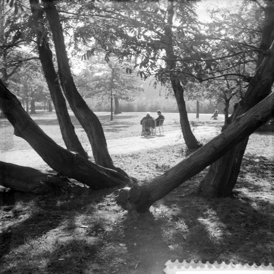 Herfst in Vondelpark, Bestanddeelnr 910-7261