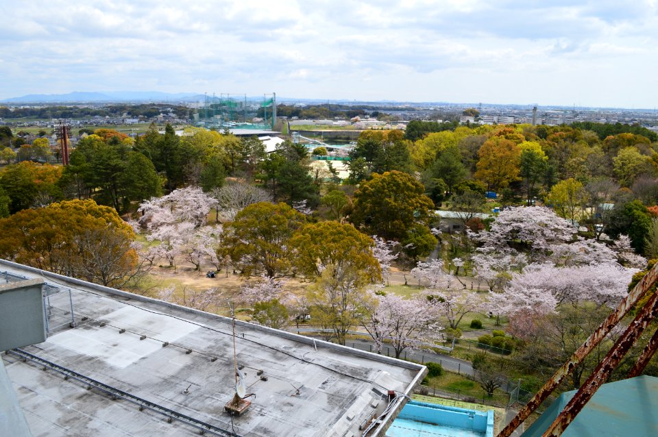 Hiokayama Kofun Group, gaikan