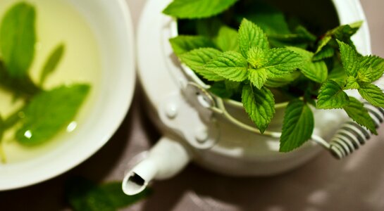 Mint tea herbs fragrant herb