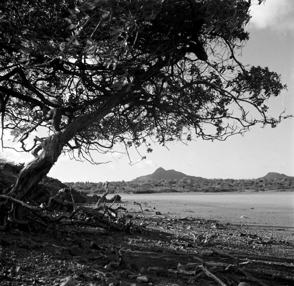 Het Gotomeer op Bonaire met in de verte de berg Brandaris, Bestanddeelnr 252-8357