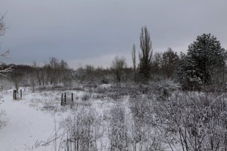 Hirschberg Düppeler Forst with snow 2021-01-30 46