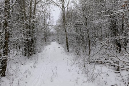 Hirschberg Düppeler Forst with snow 2021-01-30 79