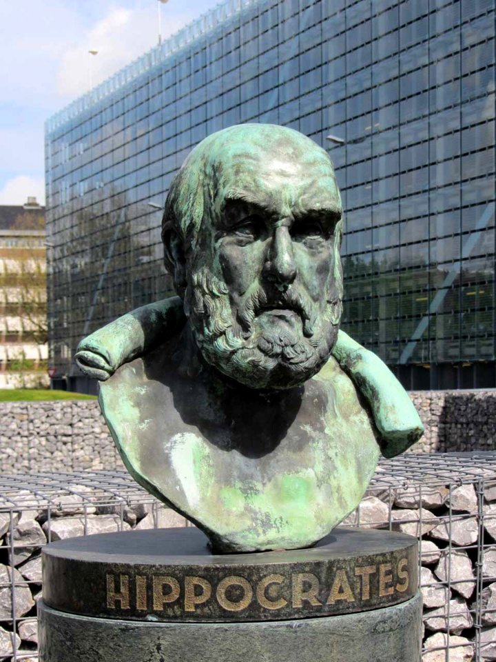 Hippocrates LUMC Leiden