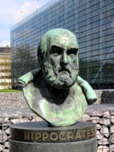 Hippocrates LUMC Leiden