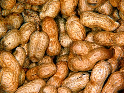 Nut snack nutrition