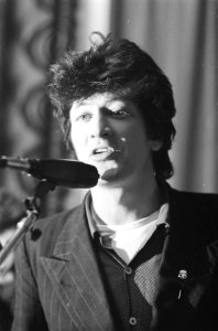 Herman Brood, Bestanddeelnr 930-1753