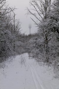 Hirschberg Düppeler Forst with snow 2021-01-30 68
