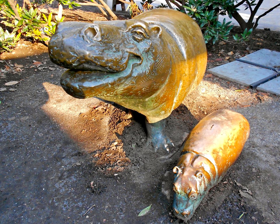 Hippo n Baby P Zoo