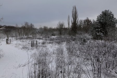 Hirschberg Düppeler Forst with snow 2021-01-30 47