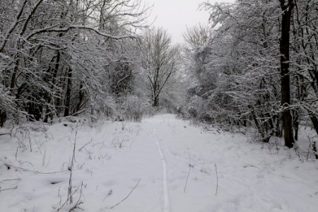 Hirschberg Düppeler Forst with snow 2021-01-30 57