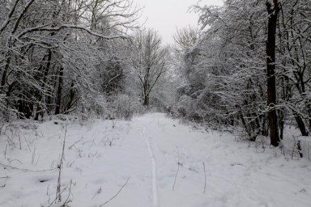 Hirschberg Düppeler Forst with snow 2021-01-30 56