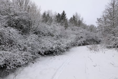 Hirschberg Düppeler Forst with snow 2021-01-30 31