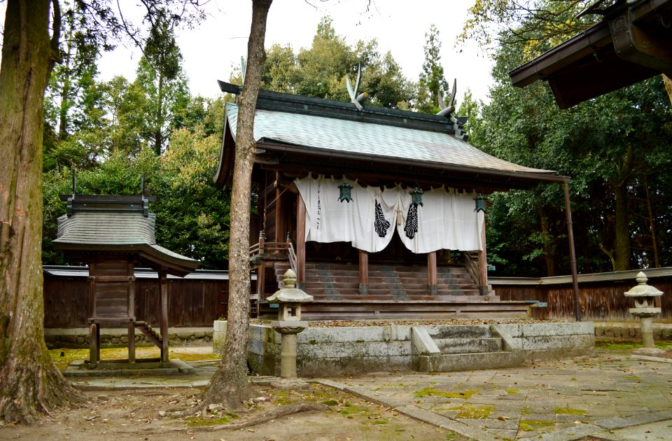 Hijiki-jinja, honden