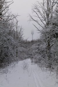 Hirschberg Düppeler Forst with snow 2021-01-30 67