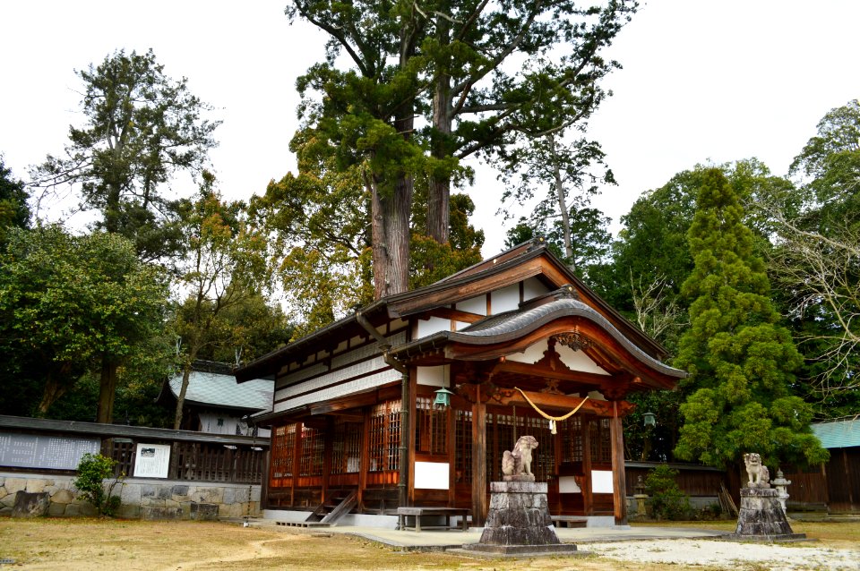 Hijiki-jinja, shaden-3