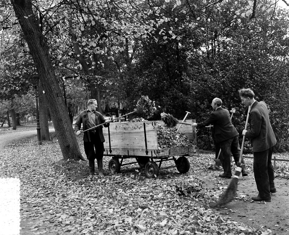 Herfstbladeren in het Vondelpark Amsterdam, Bestanddeelnr 906-7822