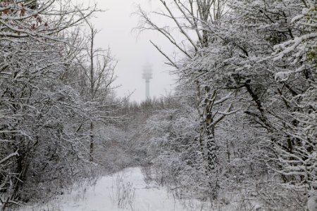 Hirschberg Düppeler Forst with snow 2021-01-30 65