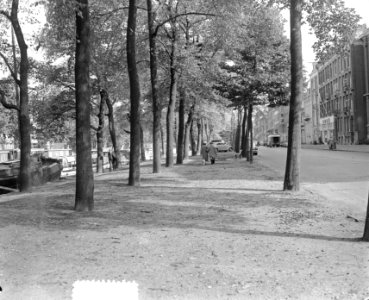 Herfst langs Stadhouderskade, Bestanddeelnr 905-9876