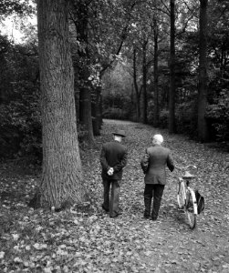 Herfst in het Kralingse Bos te Rotterdam, mannetjes lopen in het bos, Bestanddeelnr 911-6529