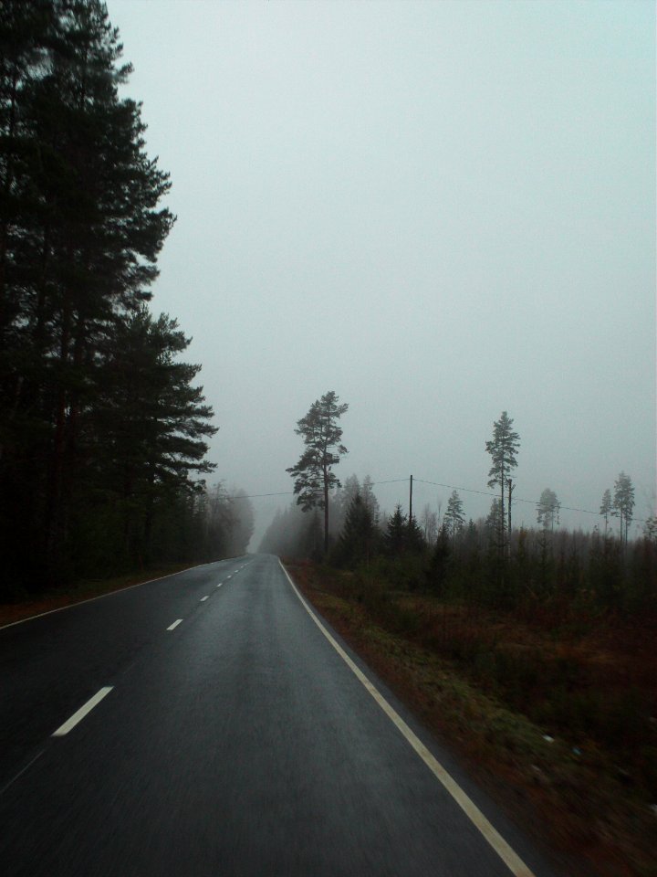 Highway 459 near Juva in the autumn