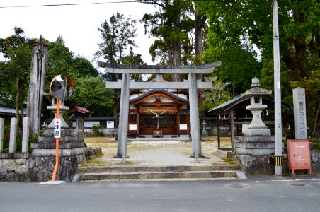 Hijiki-jinja, torii