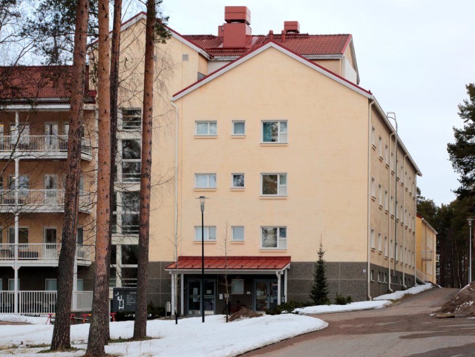 Hiirosenkoti Oulu 20210402 02
