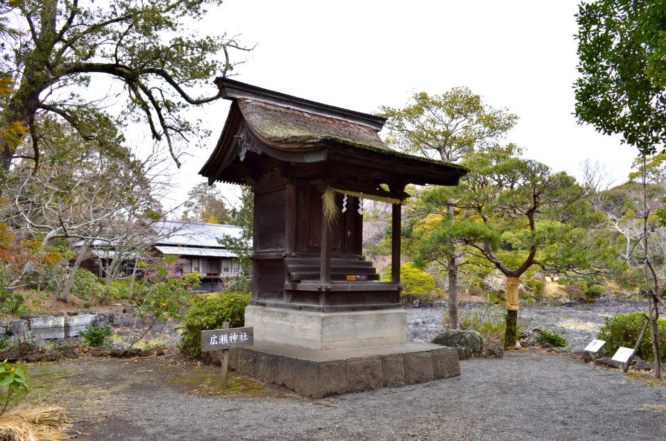 Hirose-jinja (Mishima, Shizuoka)