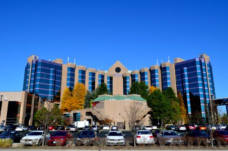 HiltonMarkham2