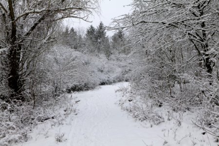 Hirschberg Düppeler Forst with snow 2021-01-30 29