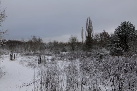 Hirschberg Düppeler Forst with snow 2021-01-30 48