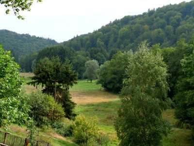 Hirschrott 26