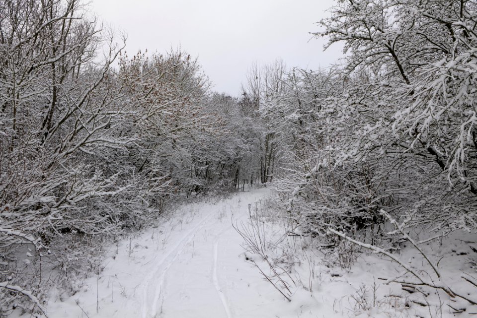 Hirschberg Düppeler Forst with snow 2021-01-30 69