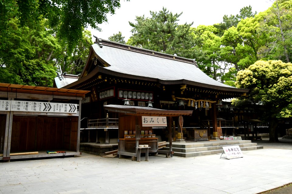 Hiratsuka-hachimangu, haiden-2