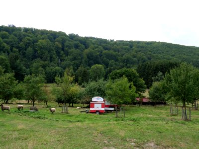 Hirschrott 03