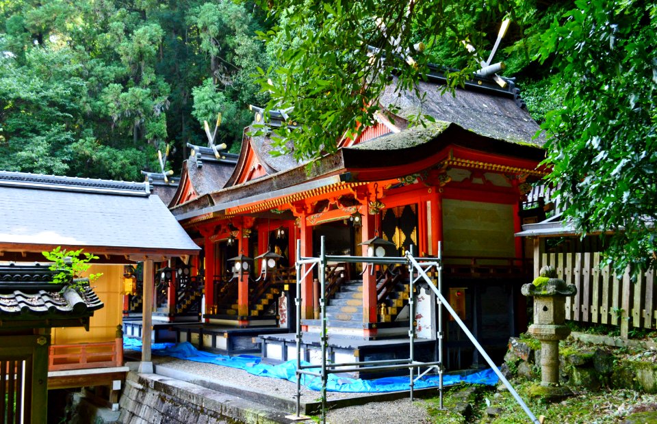 Hiraoka-jinja, honden-2
