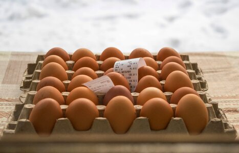 Farm healthy product photo