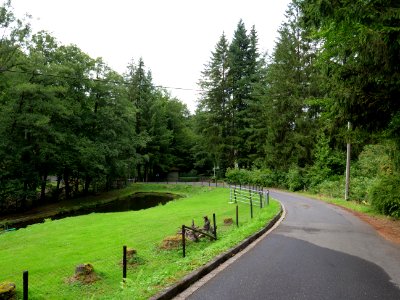 Hirschrott 01